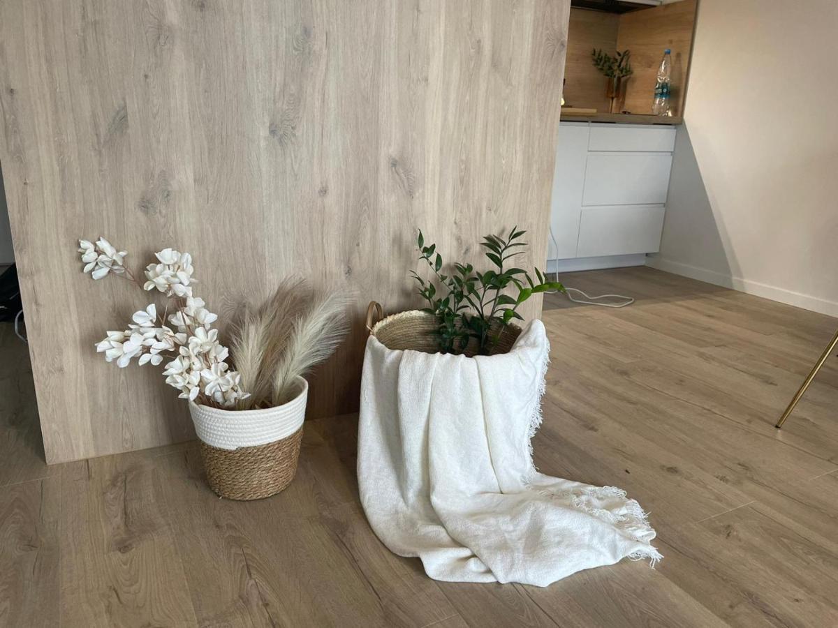 Apartament Kameralis Old Town - Klimatyzacja - Balkon - Winda エルブロンク エクステリア 写真