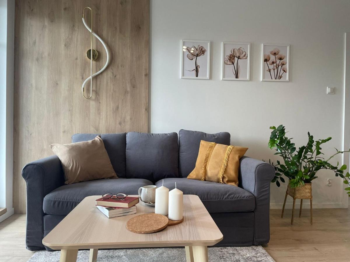 Apartament Kameralis Old Town - Klimatyzacja - Balkon - Winda エルブロンク エクステリア 写真